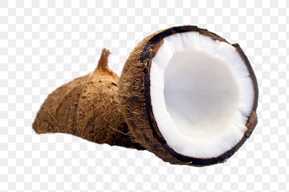 Coconut tropical fruit png, transparent background