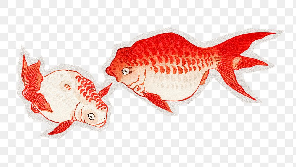PNG two Goldfish sticker with white border, transparent background 
