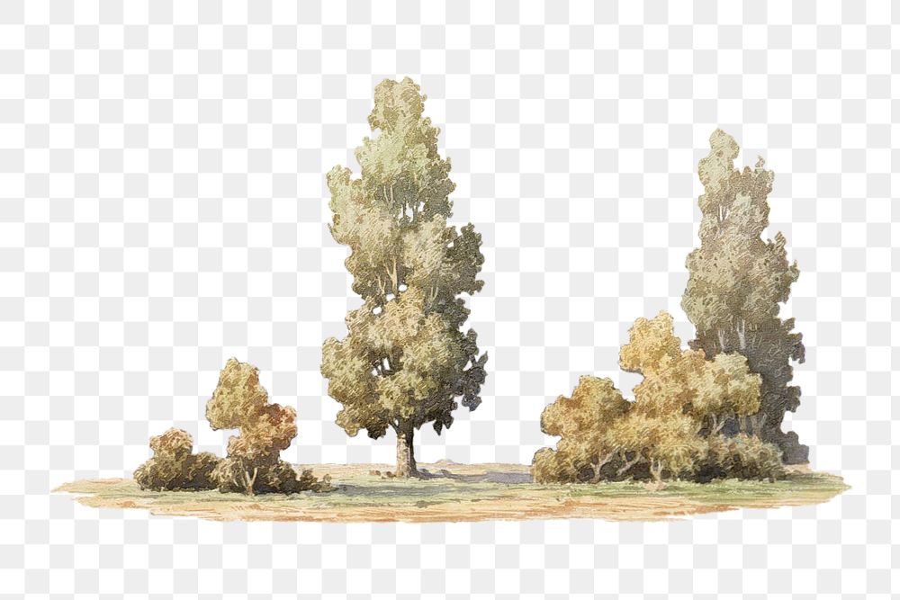 Green trees png watercolor illustration element, transparent background. Remixed from Albert Edelfelt artwork, by rawpixel.