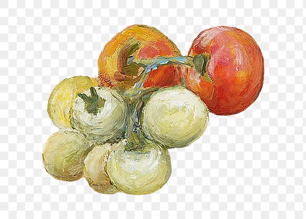 Vintage tomatoes png still life, illustration by Pekka Halonen, transparent background. Remixed by rawpixel.