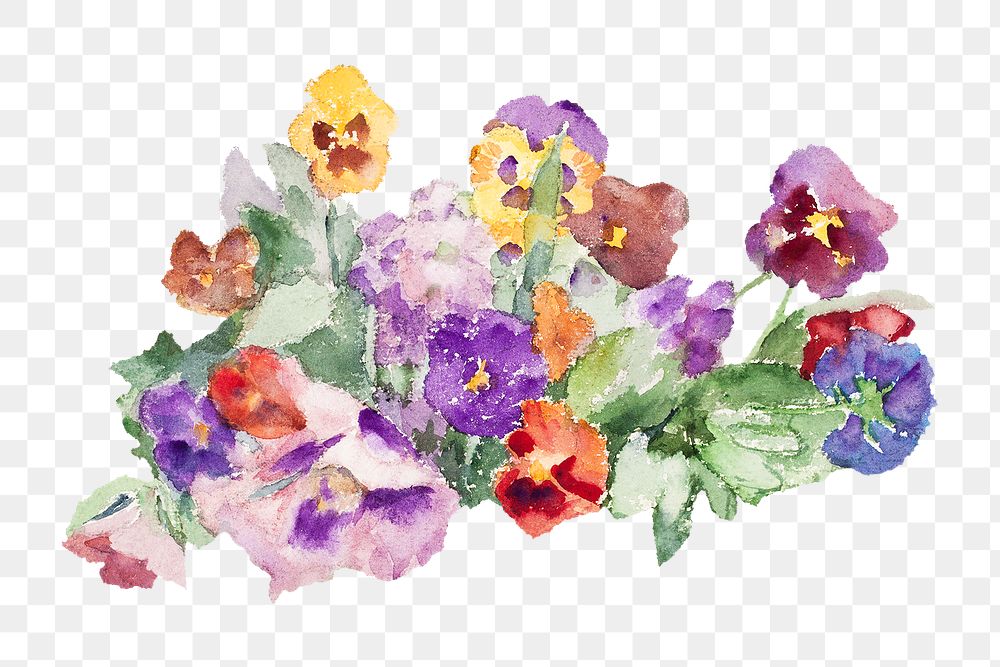 PNG Colorful spring flowers, vintage illustration Violets by Maria Wiik, transparent background. Remixed by rawpixel.