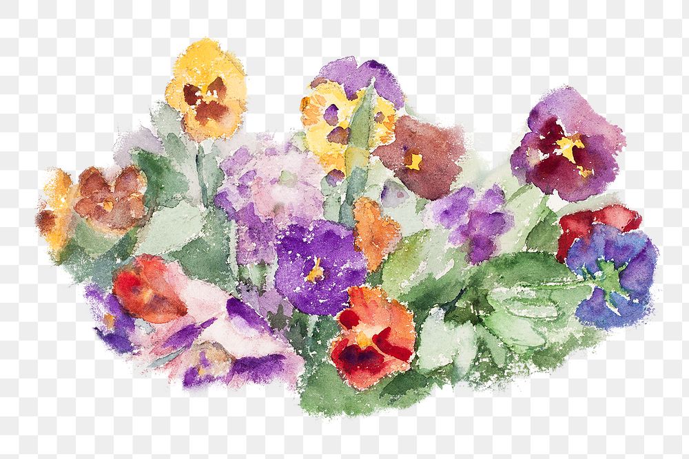 PNG Colorful spring flowers, vintage illustration Violets by Maria Wiik, transparent background. Remixed by rawpixel.