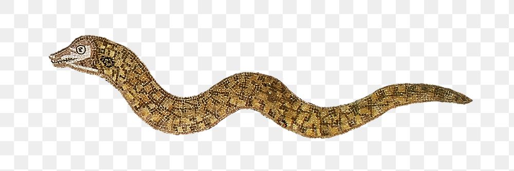 PNG Eel from Mosaic of marine life illustration transparent background. Remixed by rawpixel.