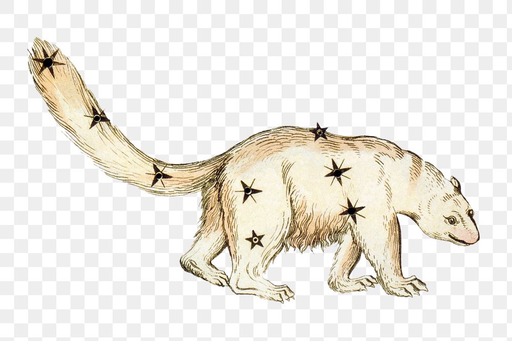 PNG Mythological Ursa Minor constellation illustration transparent background. Remixed by rawpixel.