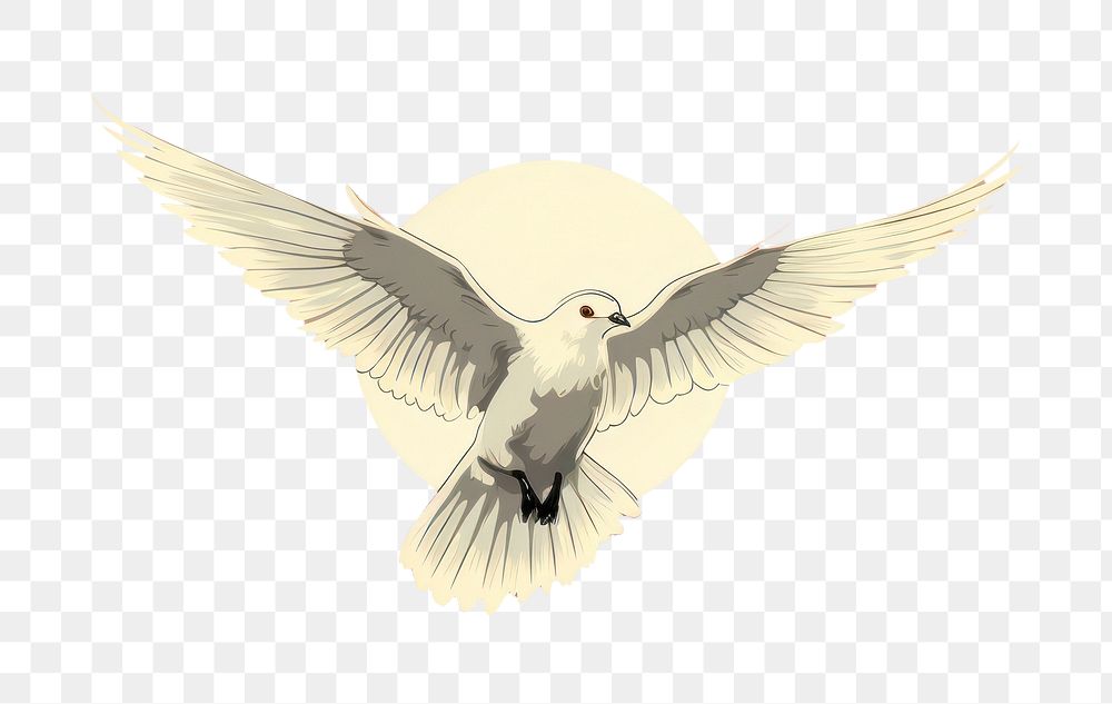 PNG Pigeon flying animal bird.