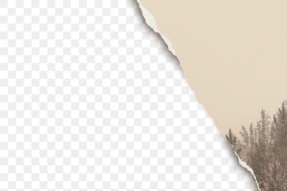 Background png torn away forest