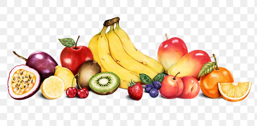 Fresh organic fruits assorted png hand drawn illustration