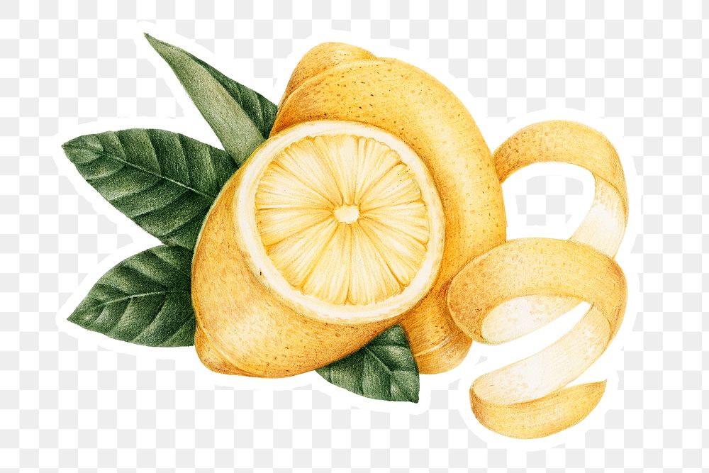 Hand drawn lemons fruit sticker with a white border design element