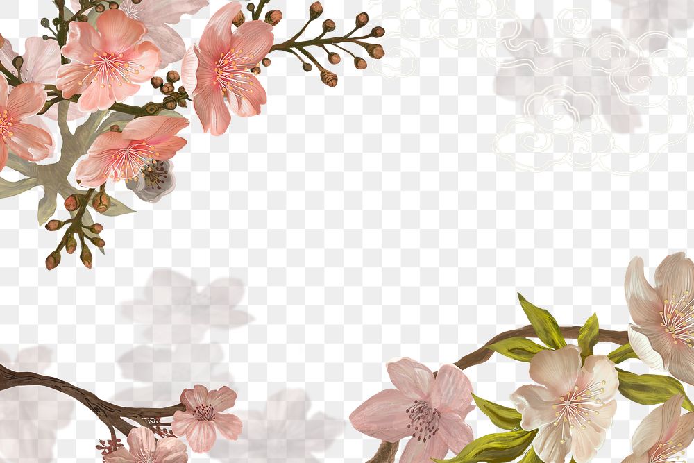 Sakura flower png transparent background, pink border