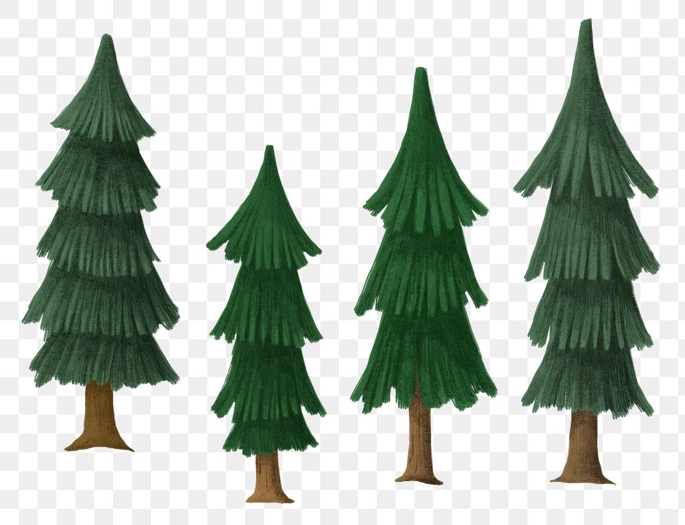 Winter pine tree png sticker Christmas season collection