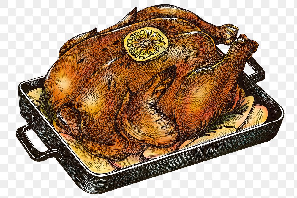 Colorful turkey isolated transparent png