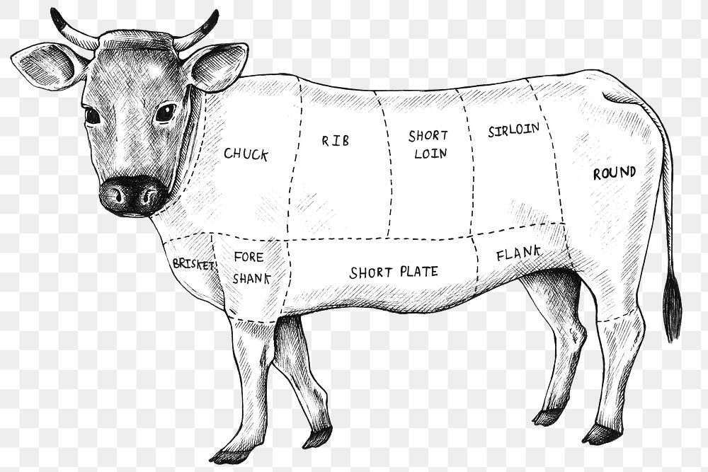 Black and white png cut of beef