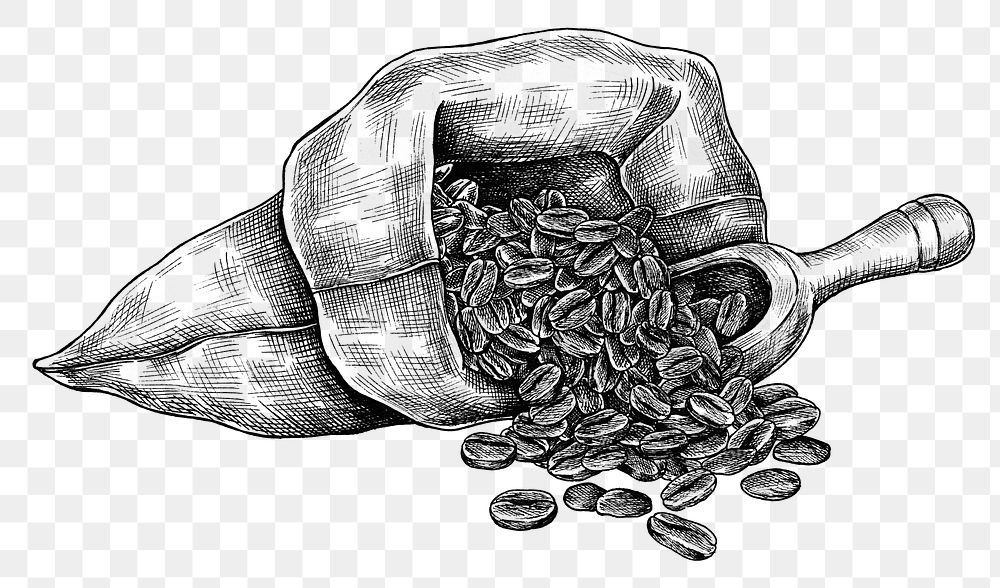 Hand drawn coffee beans in a bag transparent png