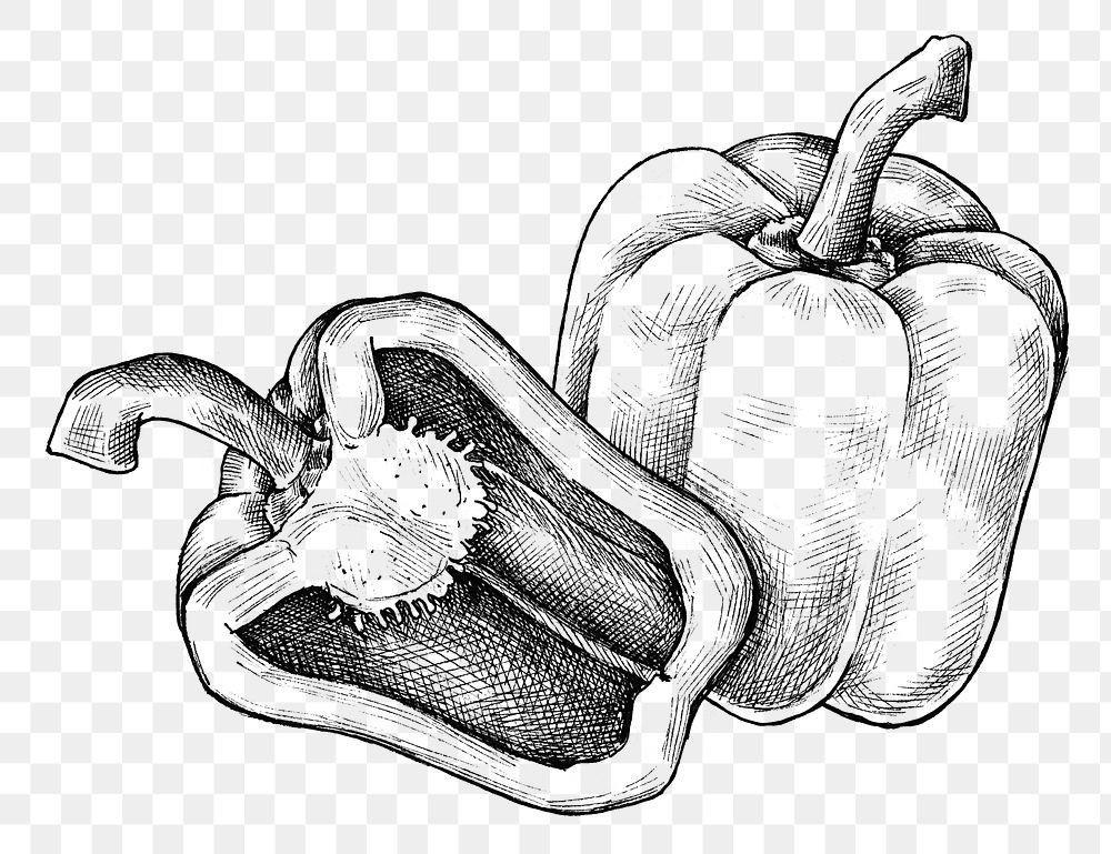 Hand drawn fresh bell peppers transparent png
