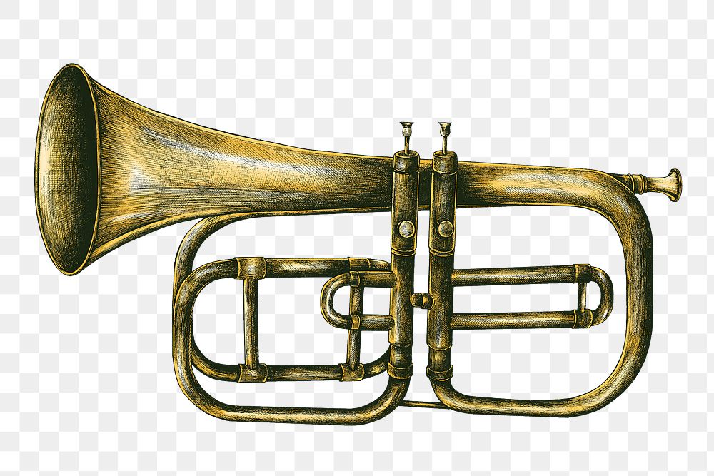 Hand drawn brass trumpet design element