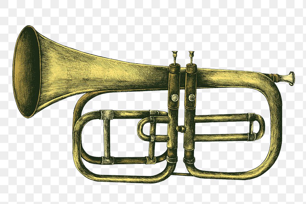 Hand drawn brass trumpet design element