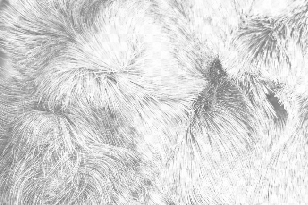Animal fur png overlay texture, abstract design on transparent background
