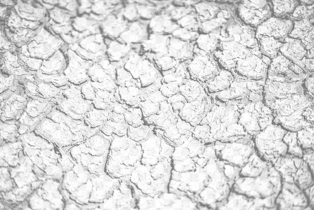 Cracked ground png overlay texture, abstract design on transparent background