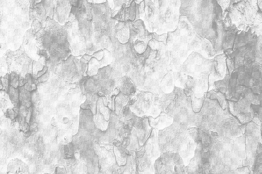 Tree bark png overlay texture, transparent background