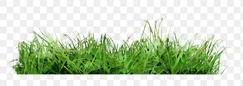 Green grass png sticker on transparent background