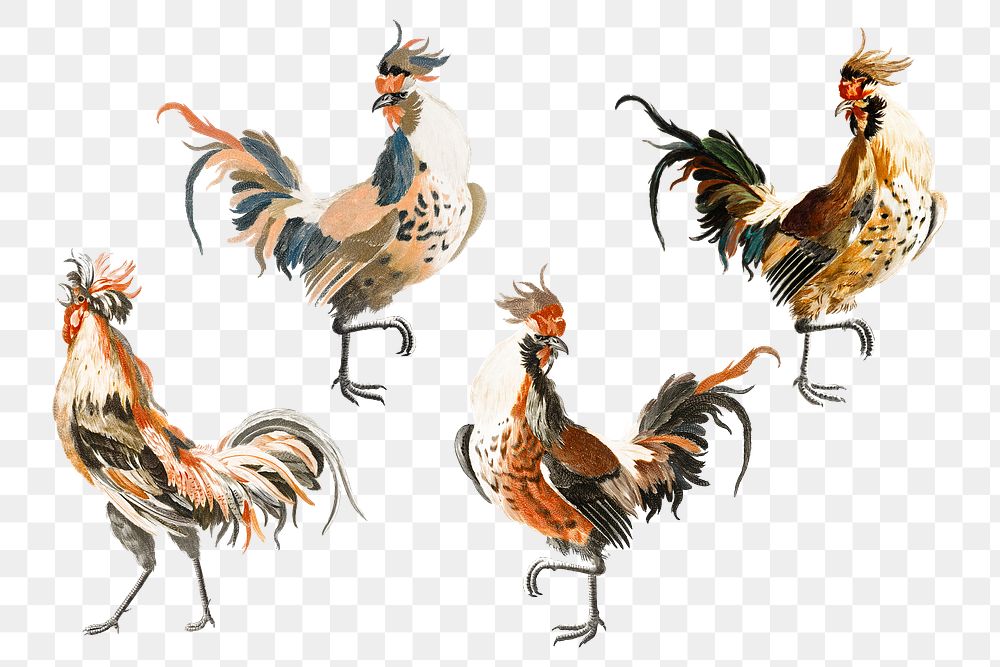 Vintage chicken png bird sticker hand drawn illustration set