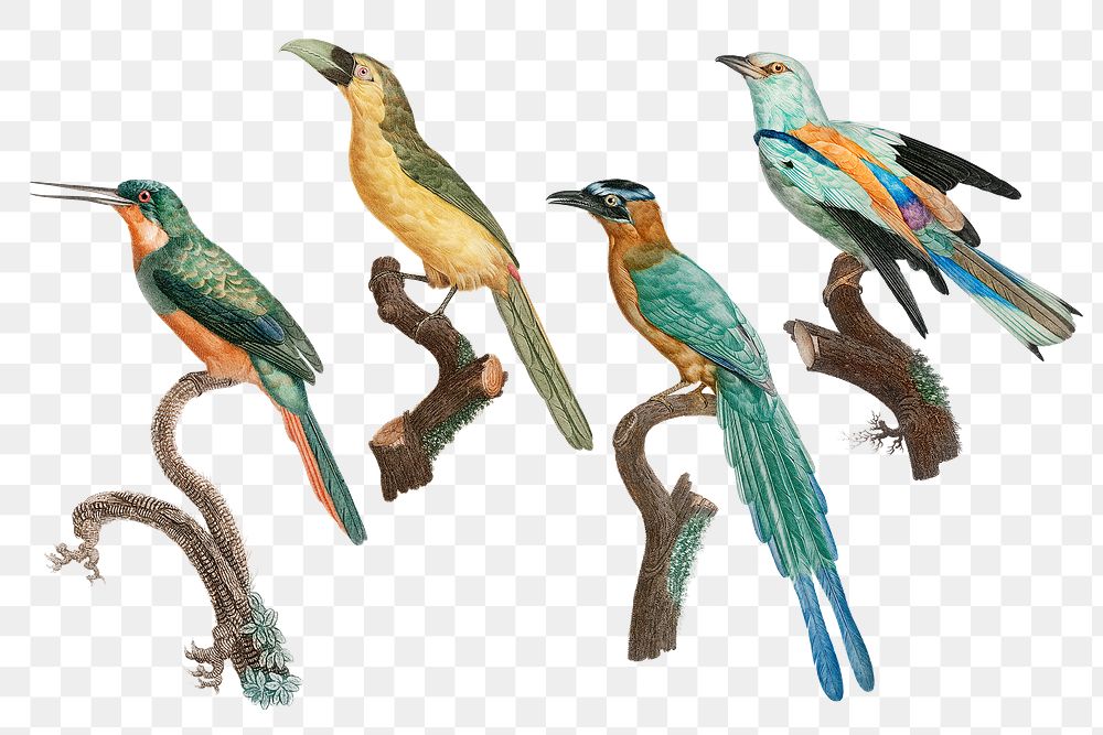 Vintage bird png animal sticker set