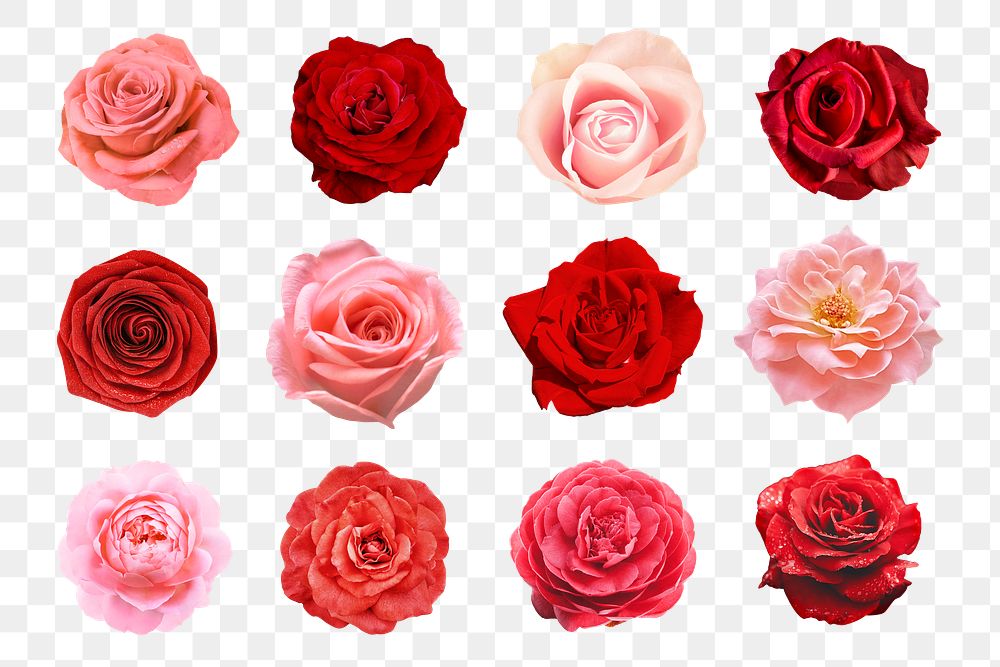 PNG red flower sticker, valentine's floral design, transparent background set