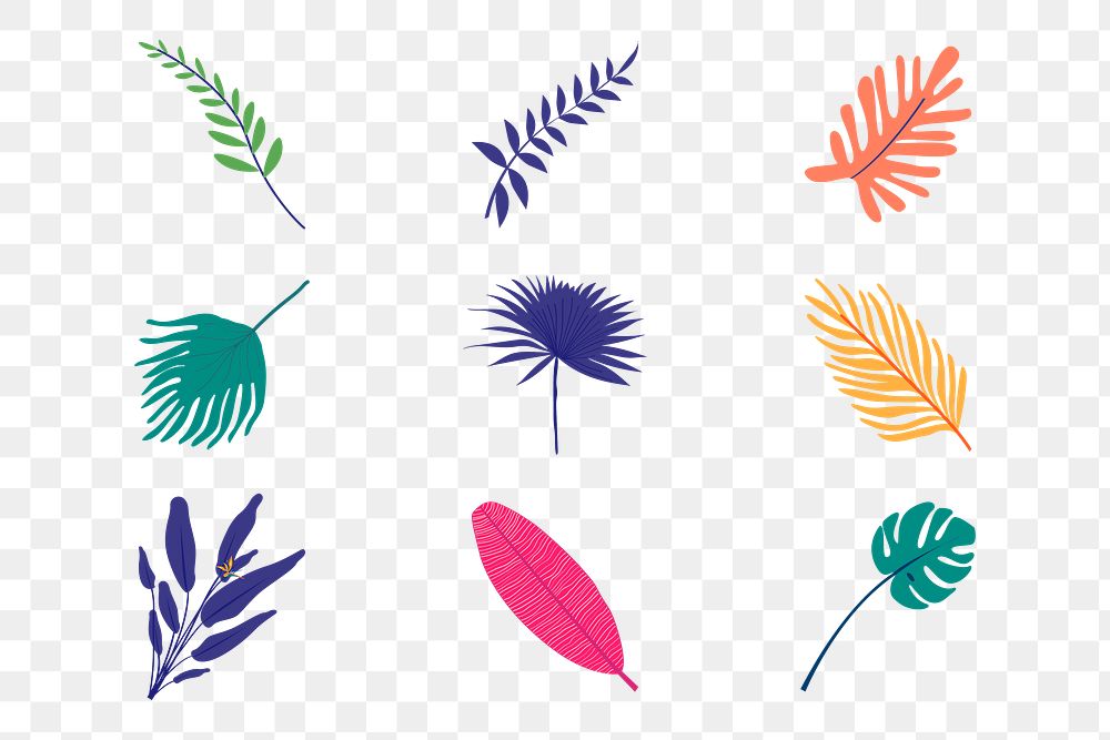 Aesthetic botanical leaves png sticker clip art set, aesthetic tropical collage element on transparent background