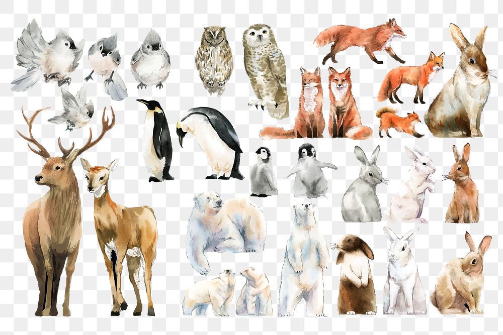 Watercolor animal png sticker, winter wildlife illustration set on transparent background