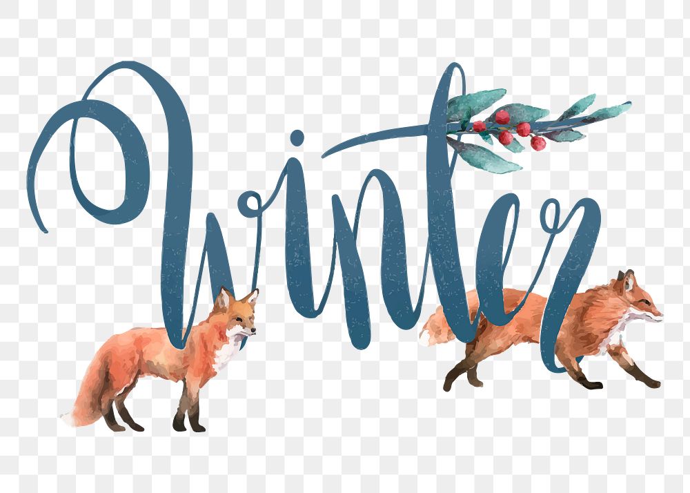 Festive winter png sticker, fox illustration, typography on transparent background