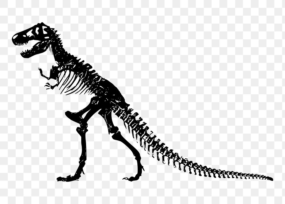 Dinosaur fossil png clipart, transparent background. Free public domain CC0 graphic