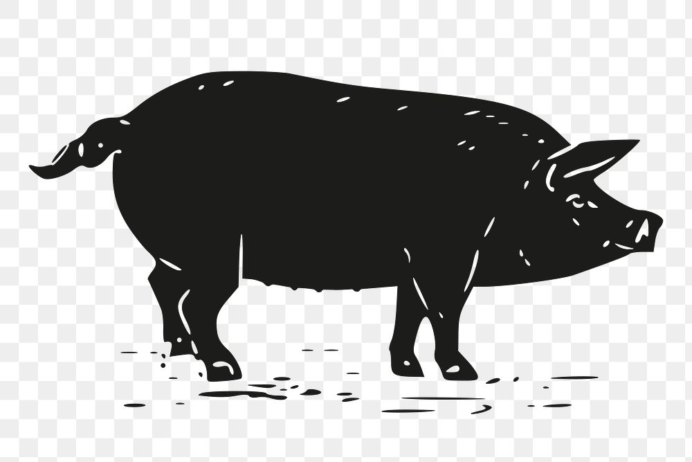 Vintage pig png, farm animal clipart, transparent background. Free public domain CC0 graphic