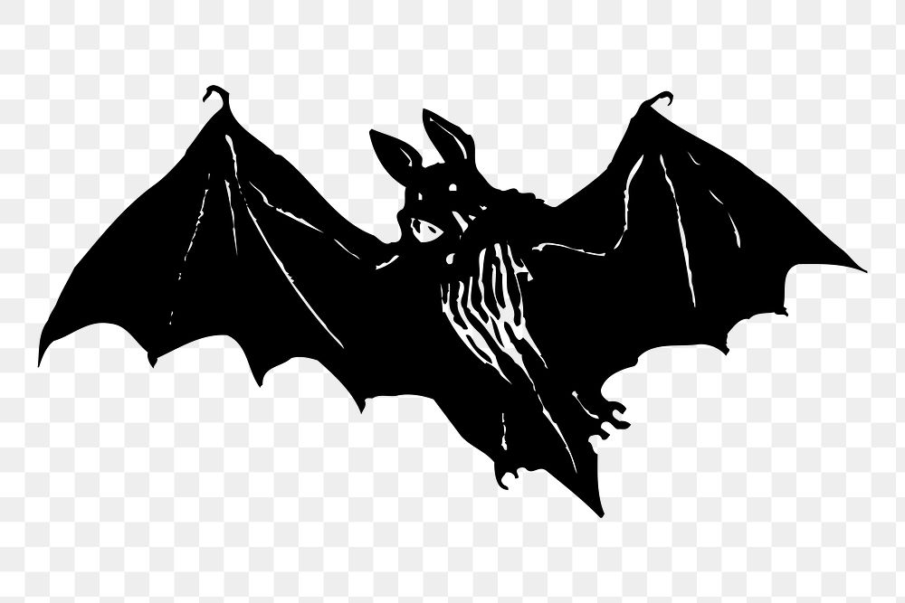 Flying bat drawing png, animal sticker vintage illustration, transparent background. Free public domain CC0 image.