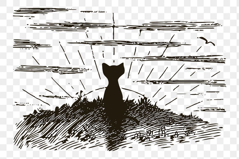 Cat png watching sunrise drawing, vintage animal illustration, transparent background. Free public domain CC0 image.