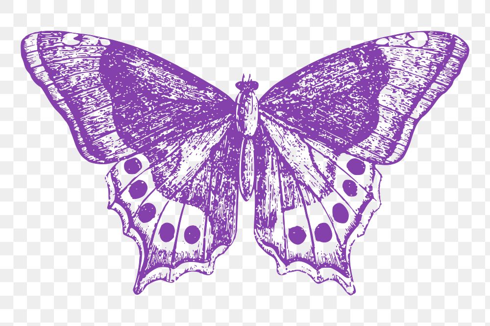 Purple butterfly png sticker, vintage insect illustration, transparent background. Free public domain CC0 image.