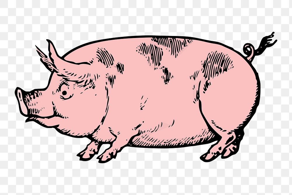 Pink pig png clipart, farm animal illustration, transparent background. Free public domain CC0 image.