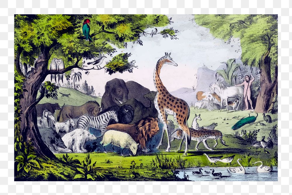 Png Adam naming animals, vintage illustration. Free public domain CC0 image.