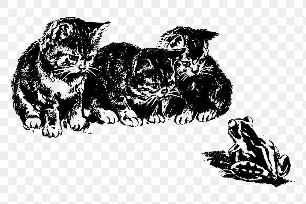 Kittens watching frog png clipart, vintage animal illustration on transparent bakground. Free public domain CC0 image.