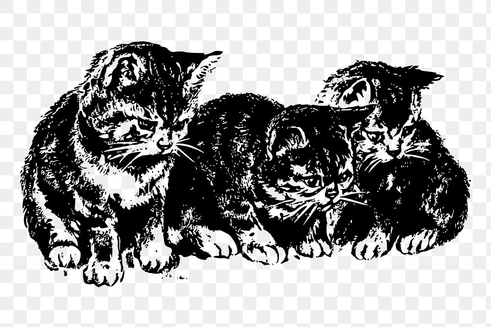 Vintage kittens png drawing sticker, animal illustration on transparent background. Free public domain CC0 image.