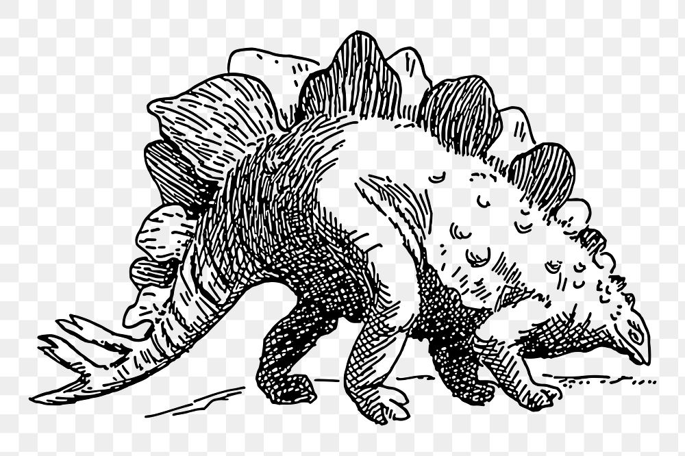 Dinosaur png sticker, Stegosaurus hand drawn illustration, transparent background. Free public domain CC0 image.