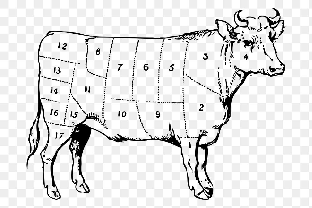 Beef diagram png sticker, cow hand drawn illustration, transparent background. Free public domain CC0 image.