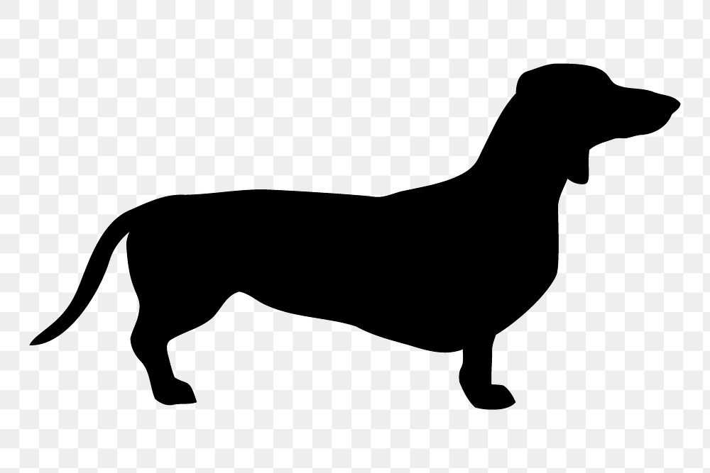 Dachshund dog png sticker animal silhouette, transparent background. Free public domain CC0 image.