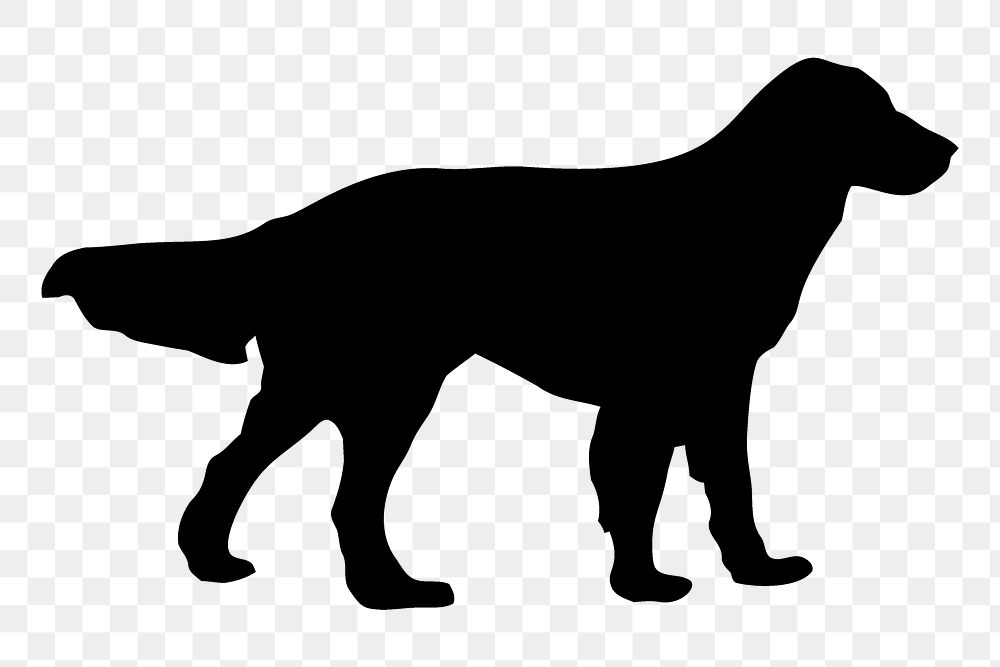 Flat-coated Retriever png dog sticker animal silhouette, transparent background. Free public domain CC0 image.