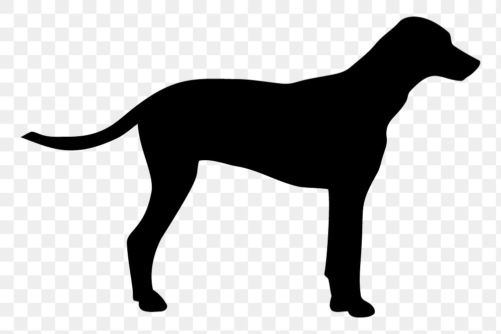 Dalmatian dog png sticker animal silhouette, transparent background. Free public domain CC0 image.