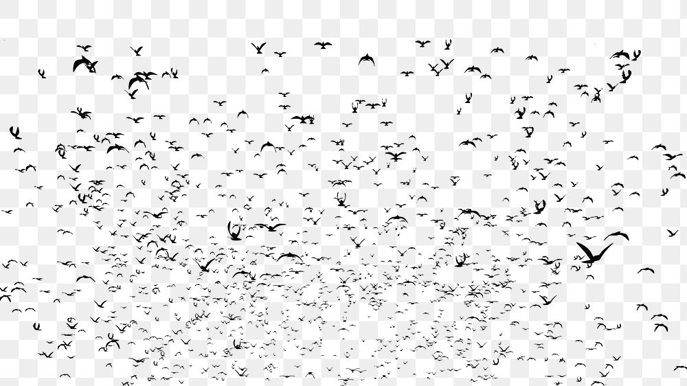 Flying birds png animal silhouette, transparent background. Free public domain CC0 image.
