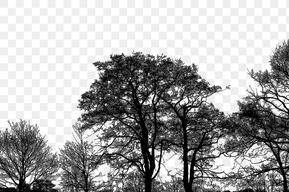 Trees silhouette png border, transparent background. Free public domain CC0 image.