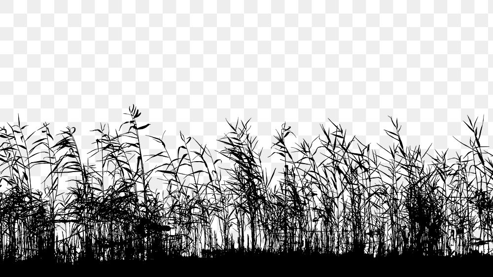 Grass field png border silhouette, transparent background. Free public domain CC0 image.