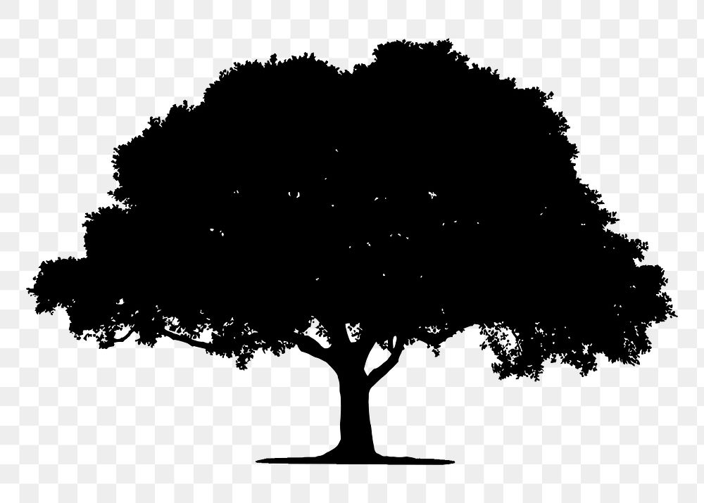 Oak tree png sticker nature silhouette, transparent background. Free public domain CC0 image.