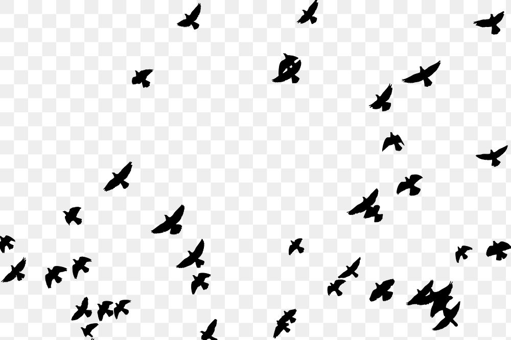 Flying birds png sticker animal silhouette, transparent background. Free public domain CC0 image.