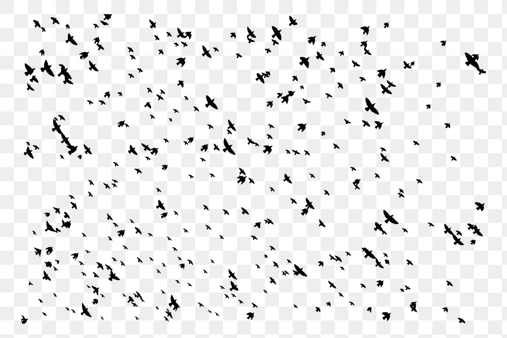 Flying birds png, abstract transparent background. Free public domain CC0 image.